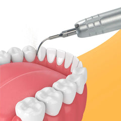 Exp Dental Ultrasonic Air Scaler with 3 Tips Tooth Calculus Remover Cleaning tool Handpiece Whiten Tooth Cleaner 2Holes4 Holes